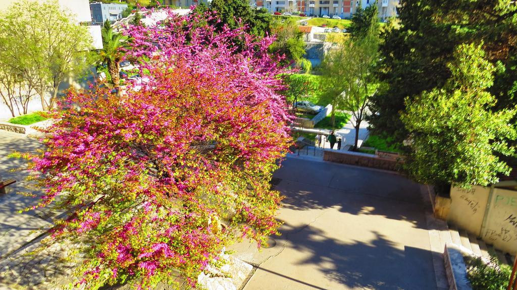 Apartment Priska สปลิท ห้อง รูปภาพ
